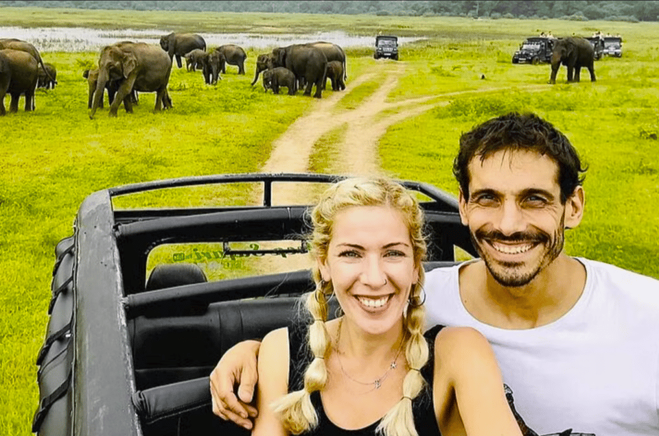 Private Jeep Safari to One of the Best National Parks - Wildlife Experience