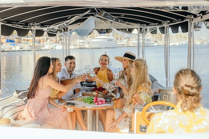 Private Luxury E-Boat Cruise With Wine, Charcuterie & Sea Lions Spotting