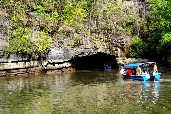 Private Mangrove Tour 2 Hour (max 8 People)