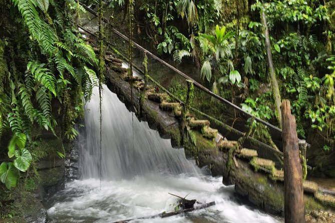 Private Mindo Cloud Forest Tour From Quito