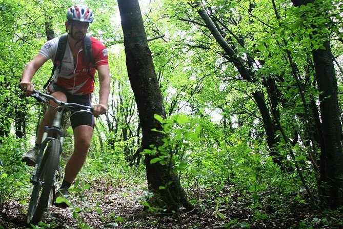 Private Mountain Biking in Vitosha From Sofia - Pricing Information