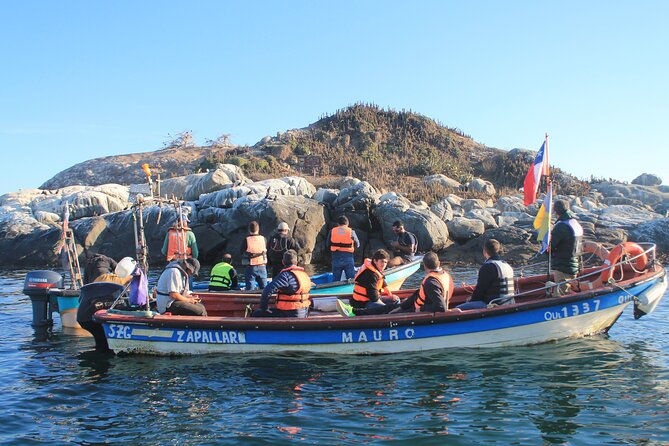 Private Nautical Tour Penguin Island, Cachagua, Valparaíso