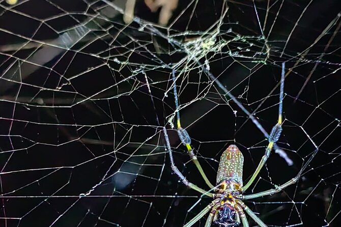 Private Night Adventure in Manzanillo Refuge