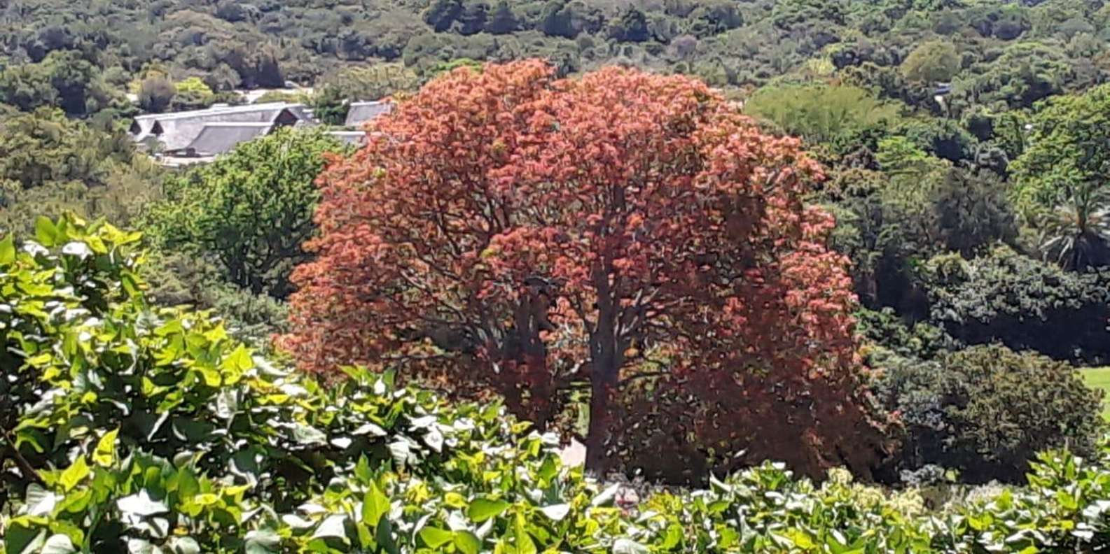 Private Quad Biking & Kirstenbosch Botanical Garden Day Tour - Tour Overview and Pricing