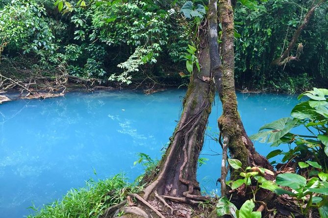 Private Rio Celeste National Park & Sloth Reserve
