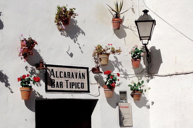 Private Seville Transfer to Malaga Including Visit to Ronda - Overview of the Service