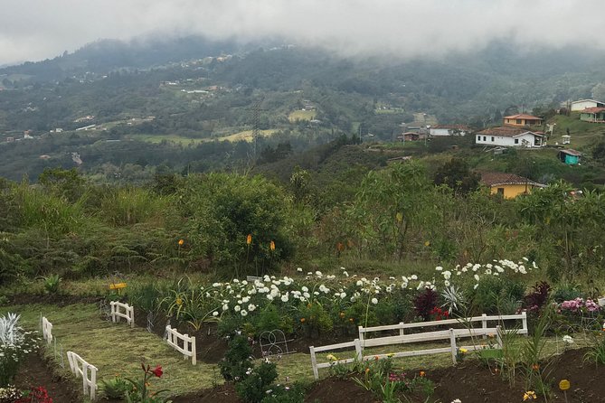 Private Silleteros (Flowers) Tour