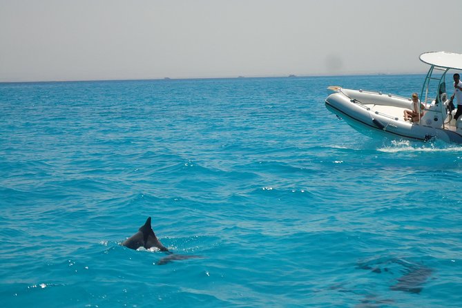 Private Speed Boat Trip In Hurghada