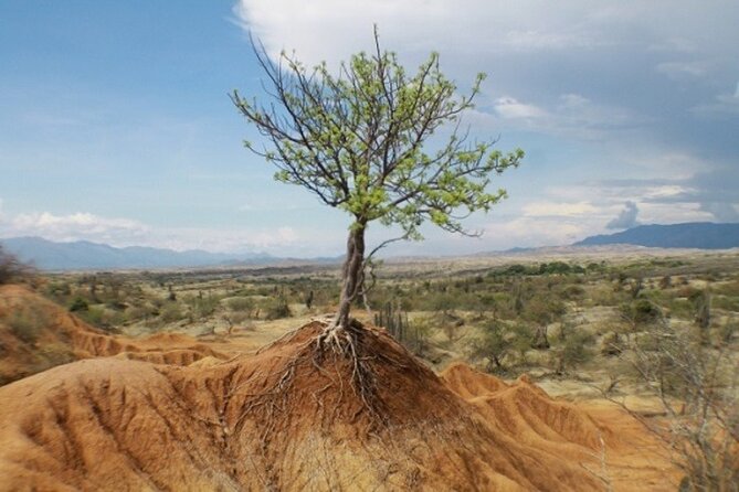 Private Tour at Tatacoa Desert From Bogotá. - Tour Overview