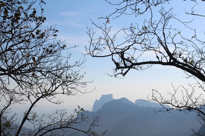 Private Tour – Explore Tijuca Forest & Christ the Reedemer by Carioca Experience