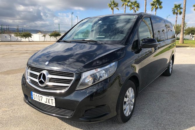 Private Tour From Malaga to the Alhambra Palace and Granada for up to 8 Persons