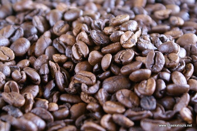 Private Tour in an Authentic, Ecological Local Coffee Finca.
