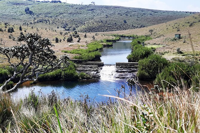 Private Tour in Horton Plains National Park ( Worlds End) With Pickup - Tour Overview