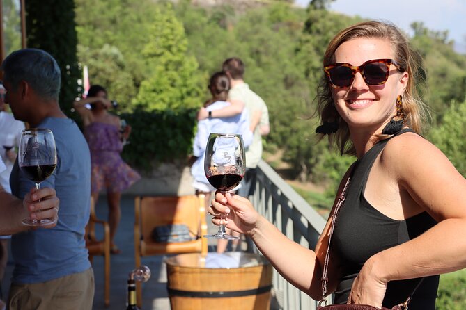 Private Tour: Isla De Maipo for Wine Lovers - Meeting and Pickup