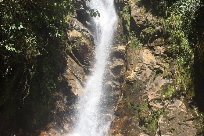 Private Tour: La Miel Magnificent Natural Reserve Hike - Tour Overview