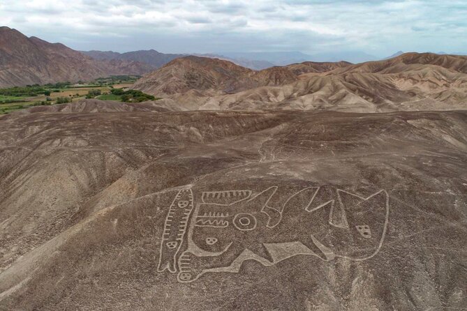 Private Tour Miradores Palpa Nazca With Nazca Lines Overflight - Meeting and Pickup
