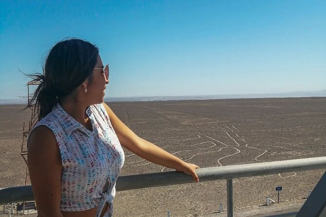 Private Tour of the Nazca Lines From Ica
