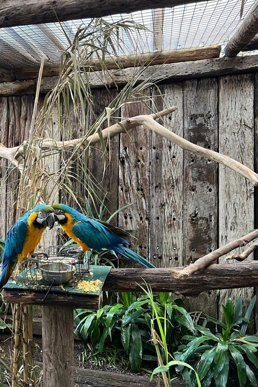 Private Tour of World of Birds, Kirstenbosch, and Constantia - Tour Overview and Pricing