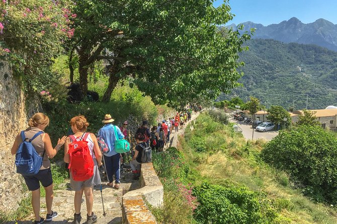 Private Tour: The Path of the Lemons