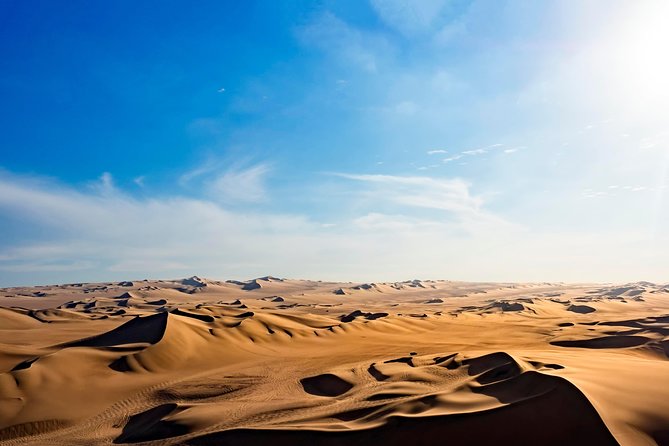 Private Tour to Huacachina From Paracas - Included Services