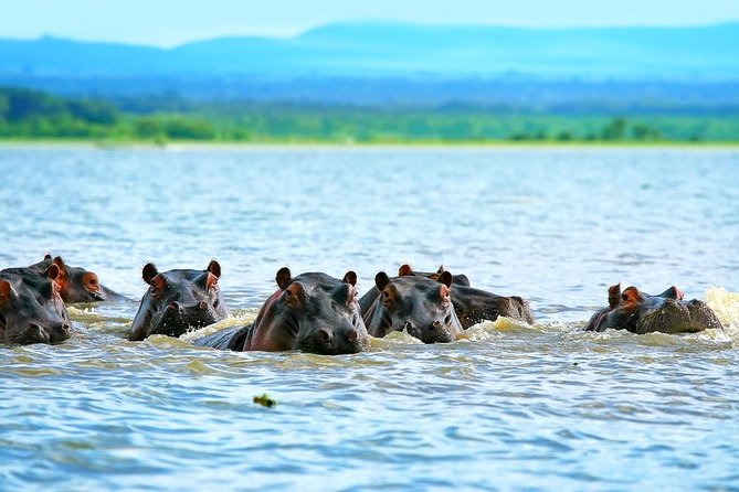 Private Tour to Mount Longonot and Optional Boat Ride on Lake Naivasha - Tour Overview
