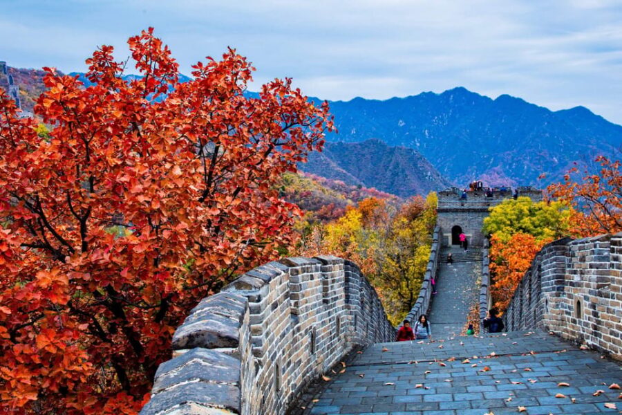 Private Tour to Panda House With Great Wall or City Sites