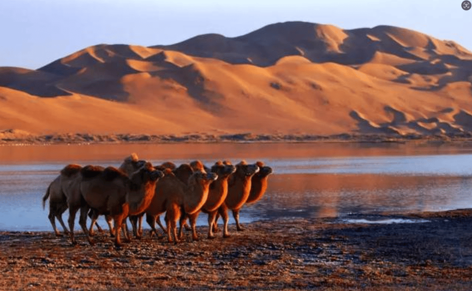 Private Tour to Pass Through Tengger Desert and Five Lakes - Tour Overview