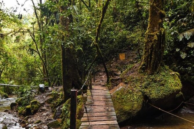 Private Tour to Salento and Cocora and Filandia