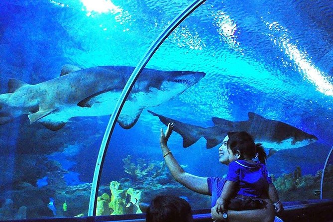Private Tour to The Best of Animal Attractions in Kuala Lumpur