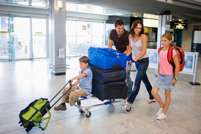 Private Transfer From Charles De Gaulle Airport to Paris: Premium Service
