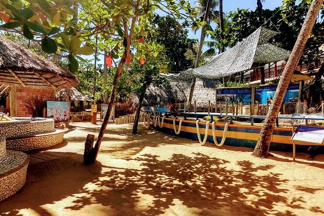 Private Transfer: up to 3 People From Praia Do Forte to Salvador Airport