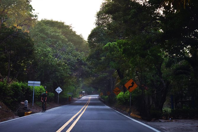 Private Transportation Service From Palomino to Santa Marta