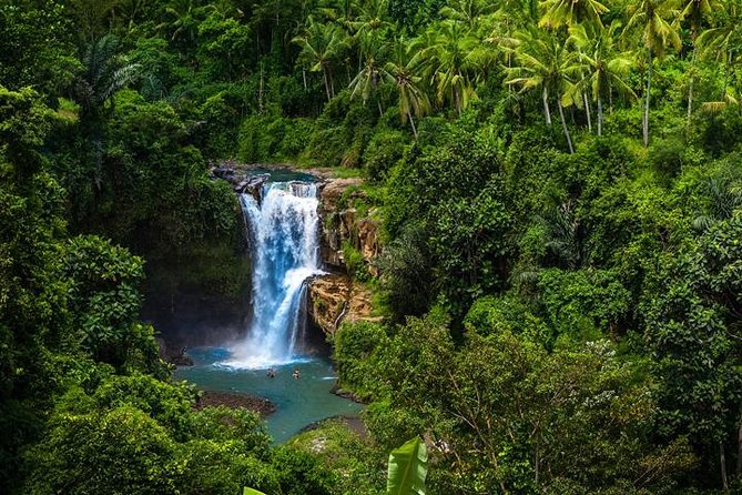 Private Ubud Tour Car Charter And Customs Itinerary