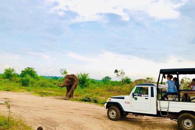 Private Udawalawe Nationalpark Jeep-Safari - Overview of Udawalawe National Park