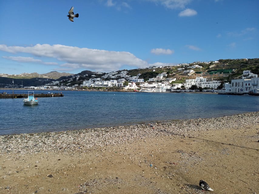 Private Walking Tour in Mykonos Town With a Local Guy - Tour Overview