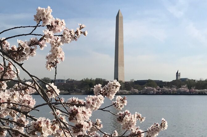 Private Washington Monuments Tour