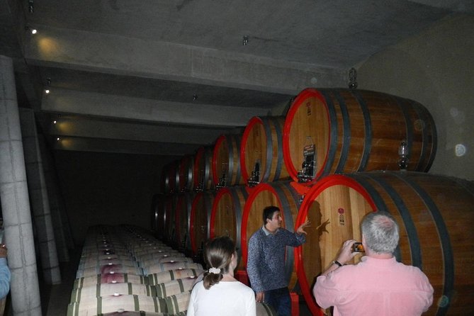 Private Wine Tour in Valparaiso - Itinerary