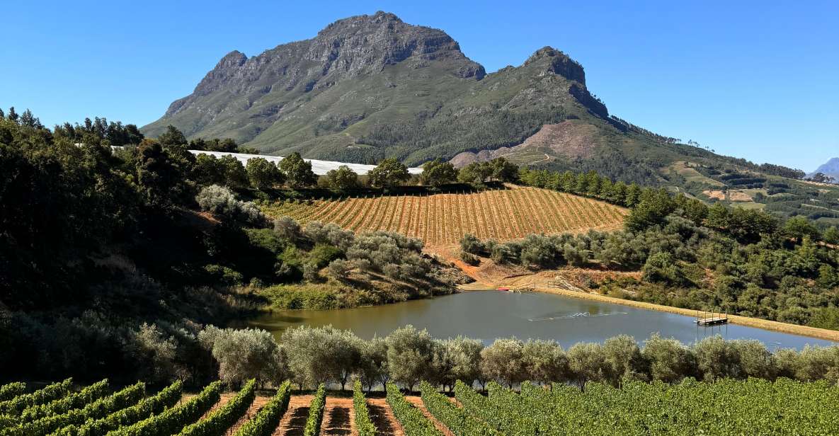 Private Wine Tour: Visit Stellenbosch, Franschhoek &Paarl - Tour Overview and Pricing