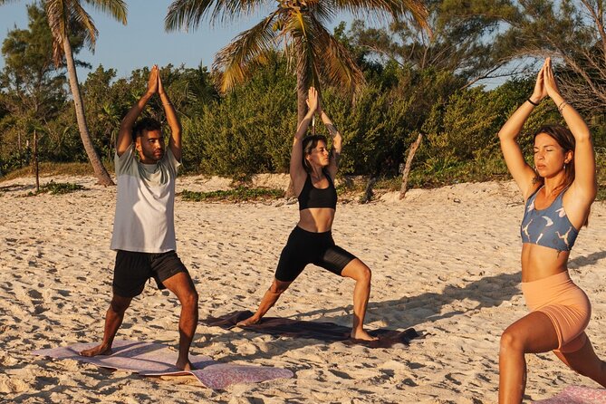 Private Yoga Experience at the Floripa Beaches in Brazil - Overview of the Experience