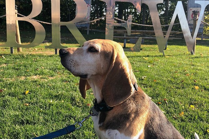 Private:Brewery, Winery, and Cider & Spirit Tastings Tour in SW Ontario