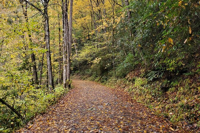 Privately Guided Full Day Hike