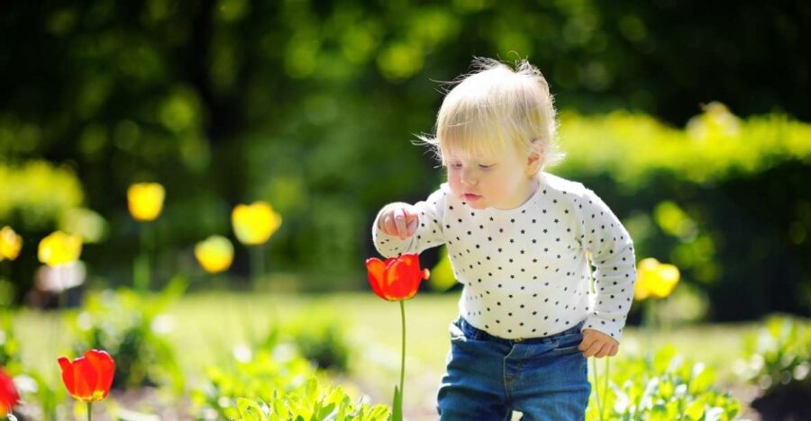 Professional Outdoor Baby Photoshoot in Amsterdam