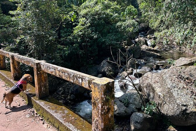 Puddles and Waterfalls