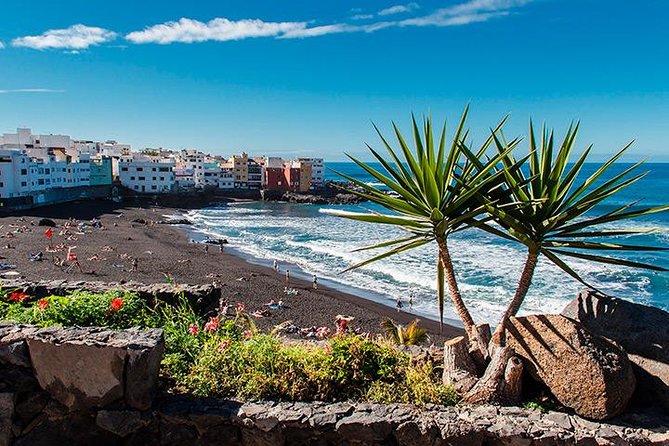 Puerto De La Cruz City Tour With Transfers - Overview of the Tour