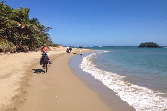 Puerto Plata: Beach Half Day Horseback Riding