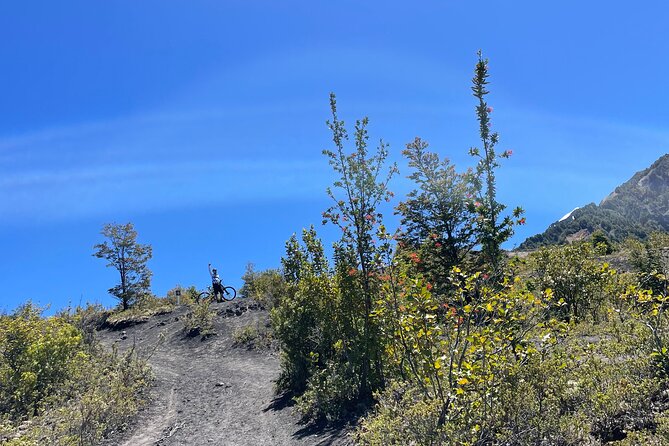 2 Best Bike Tours In Puerto Varas