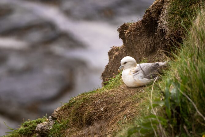 4 Best Tours In The Scottish Highlands