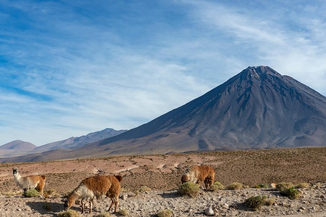 5 Best Full-day Tours In San Pedro De Atacama 