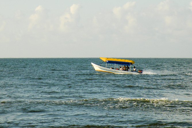 Punta Sal Tela Day Trip From San Pedro Sula - Full-Day Tela Excursion From San Pedro Sula