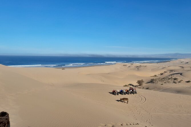 Quad Bike and Sandboarding on Sand Dunes Wild Beach